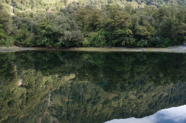 Exploring the Sound of Silence